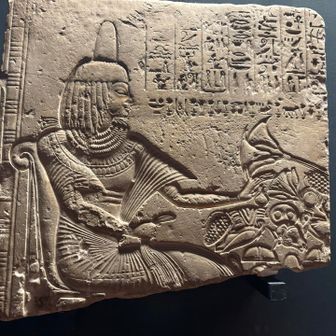 🌸桜さくこ🌸