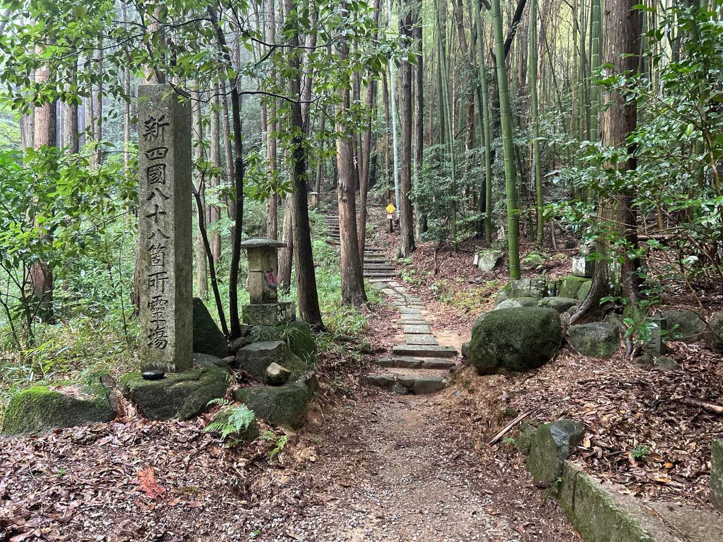 登山道はこっち