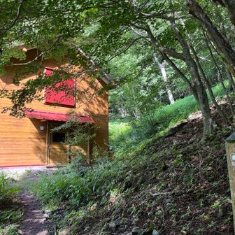 横窪沢避難小屋🛖にて休憩。