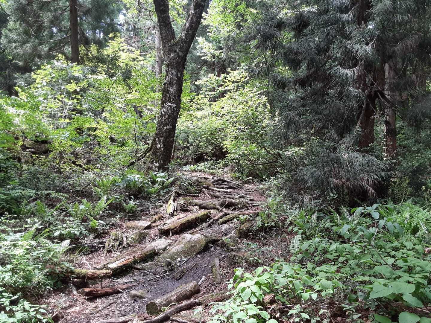 足がめり込む登山道