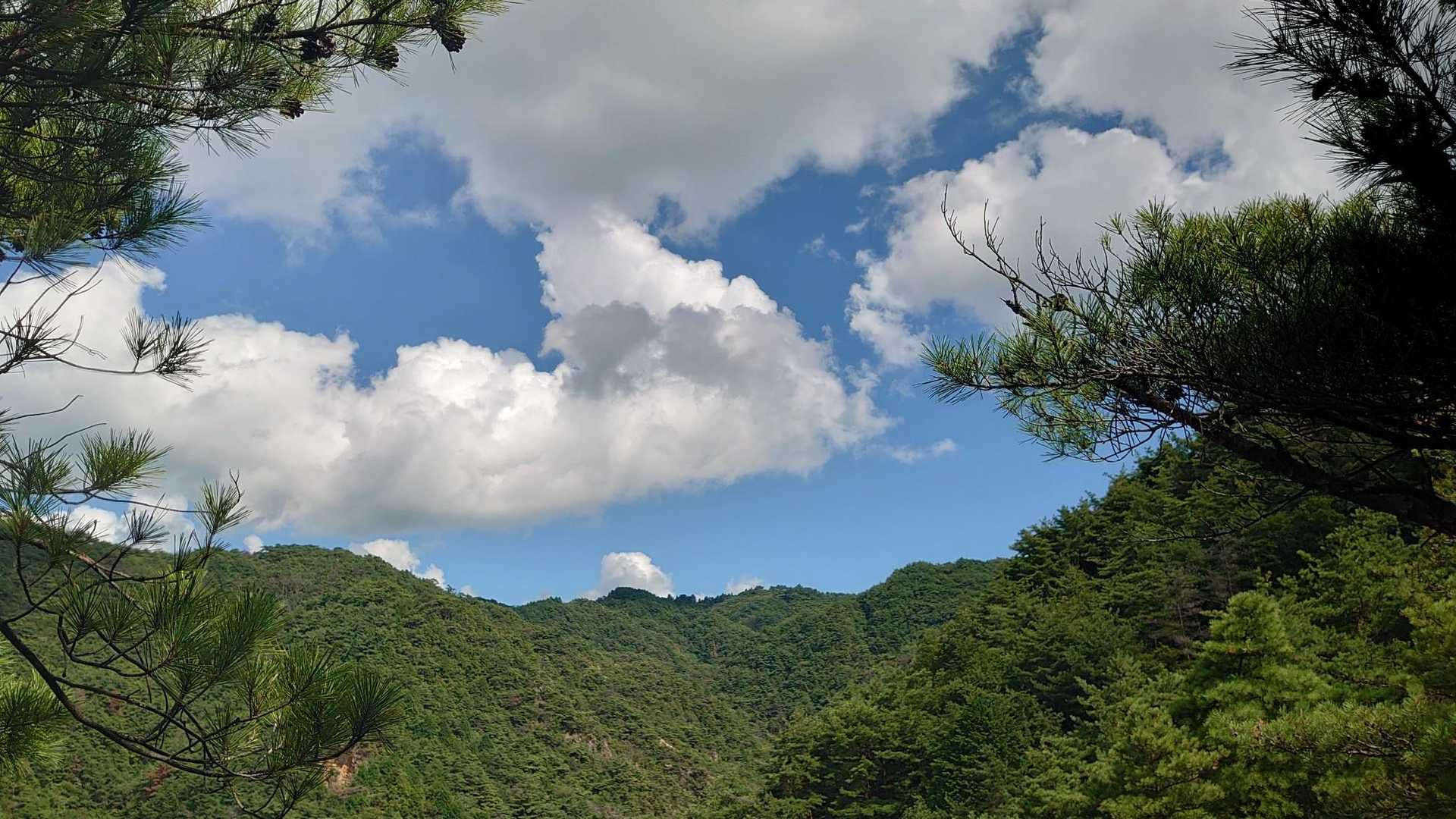 大池駅-水晶山-六甲ケーブル下バス停 縦走コースの写真