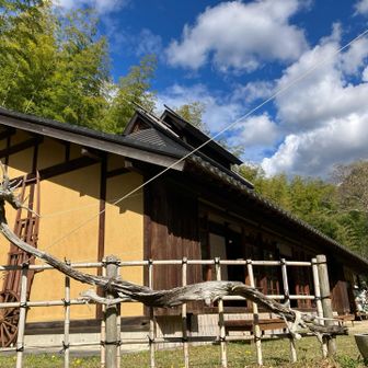 立派な管理棟と🐉