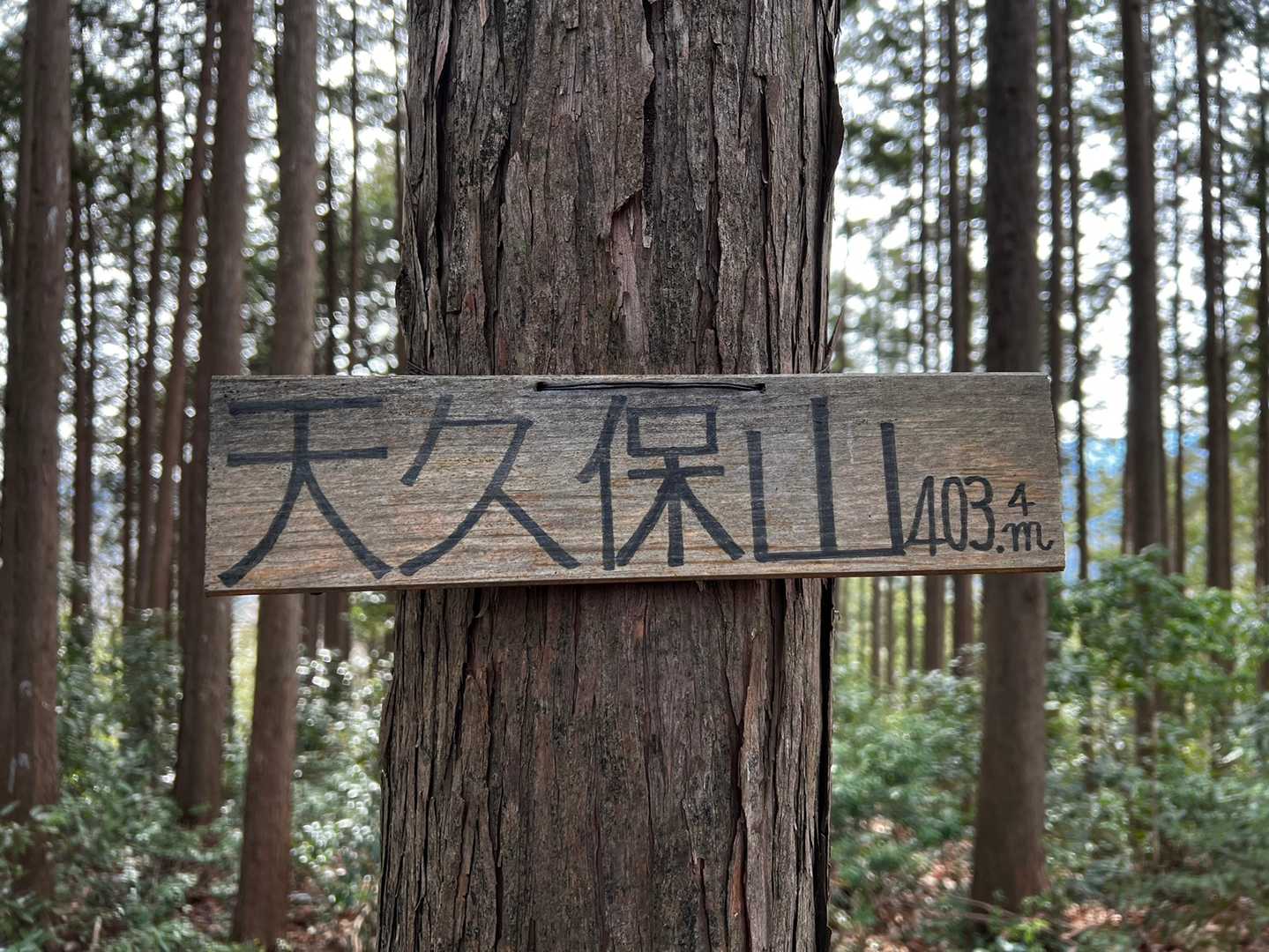 天久保山⛰飯能百名山