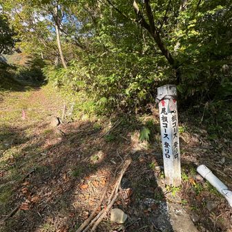 下山しました
