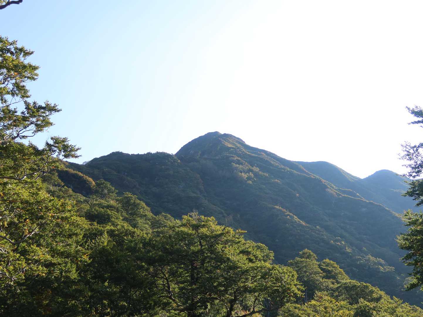 あれが大源太山かな？