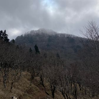 頂上はガスってますネ