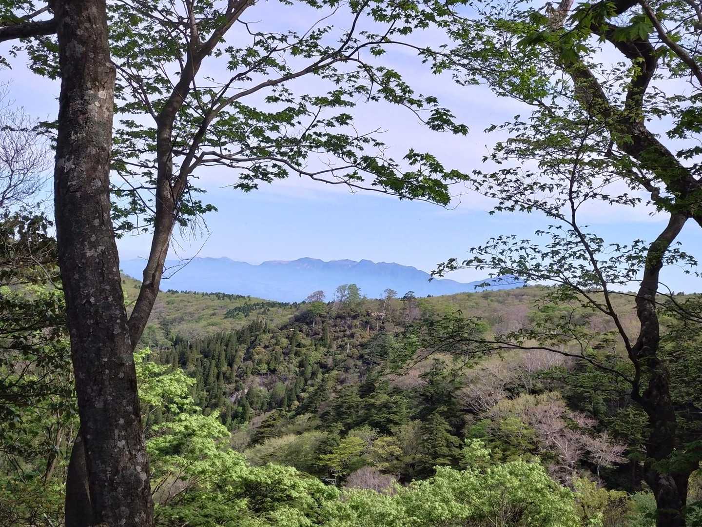 わぁ〜わ〜わ〜🤩九重連山ですぅ〜💕