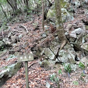 熊野古道 小辺路 誕生石。
何が誕生したのでしょうか？