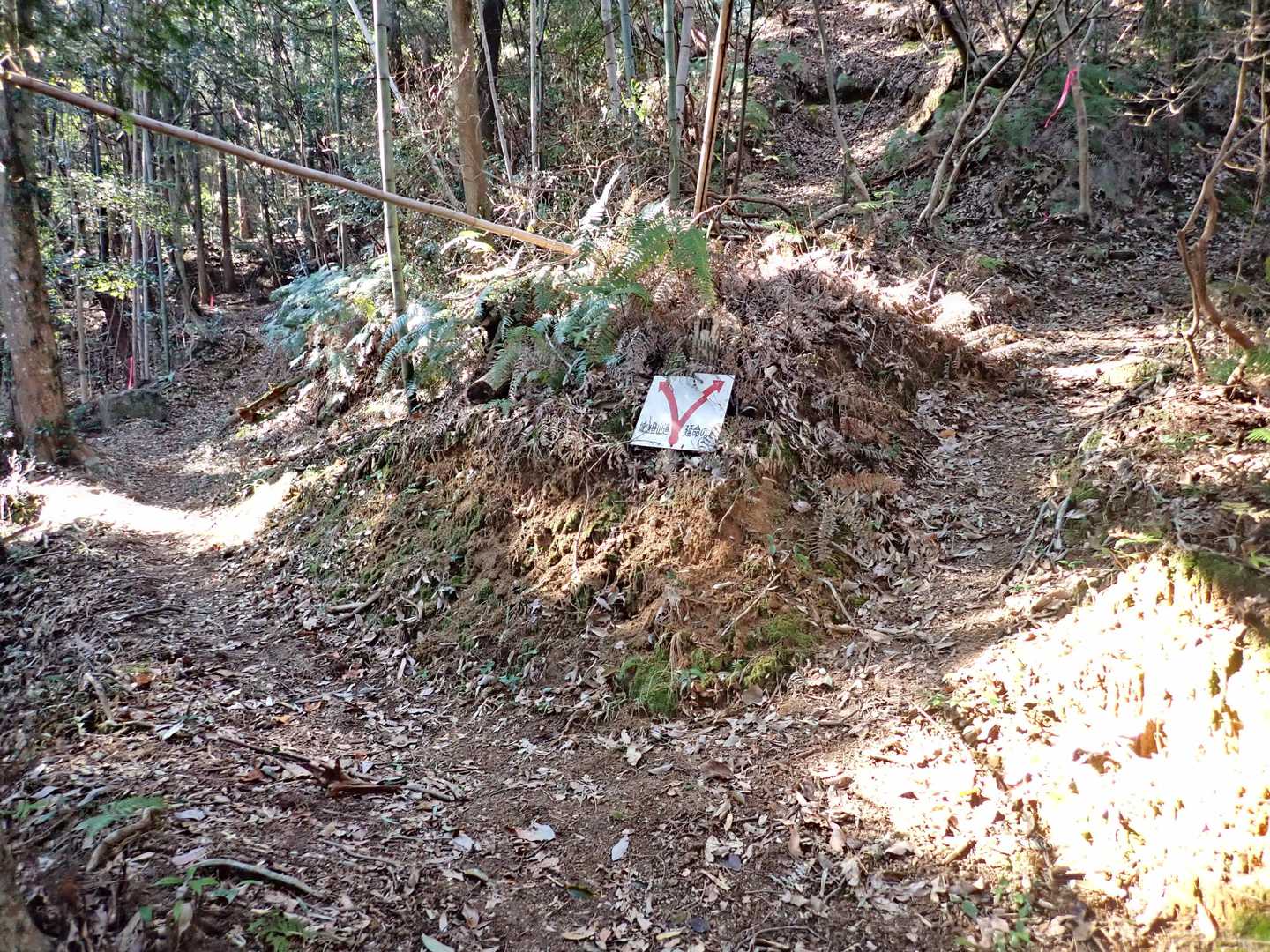 分岐。右は延命の滝とあります。行ってみます。