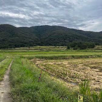今日の振り返りビュー
平地にただいま