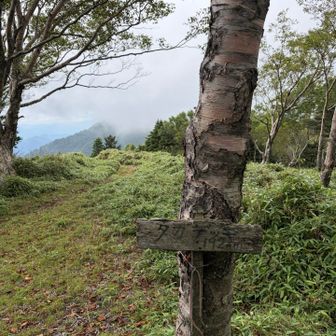 タカデッキ山頂。