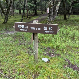 国師ケ原に到着。だいたい中間地点。