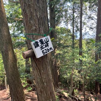 山頂