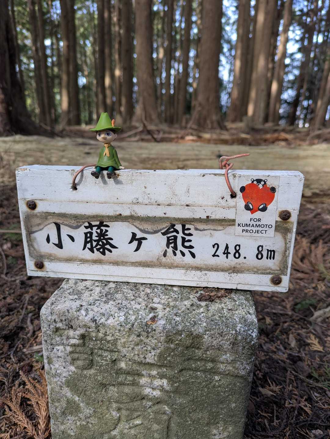 小鬢鏡・鬢鏡山・白山・高山・愛宕山・小藤ヶ熊・宝満山・セビガ尾山・原田山・乙児の辻 / すとれいさんの笠置山の活動データ | YAMAP / ヤマップ