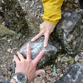 三角点回りもキレイに