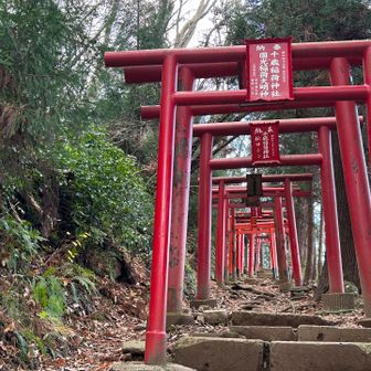 そう言えば💛
写真撮ってなかったなと
いそいそと下る途中
今日は⛩️もパチらず登ってたなと振り返る