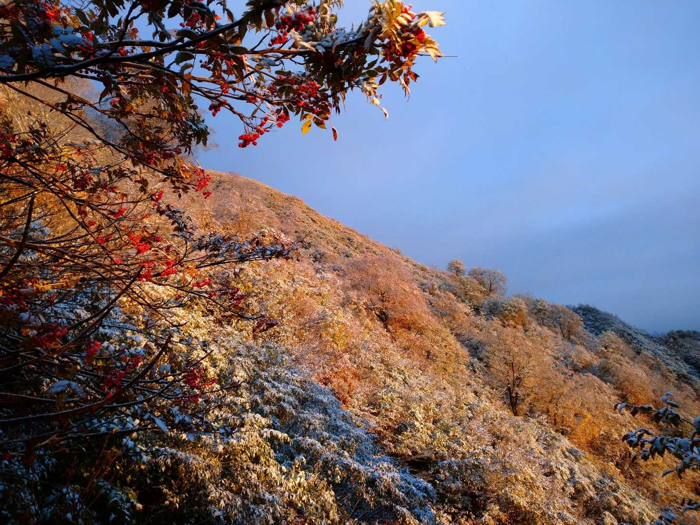 雪化粧が朝日照らされる