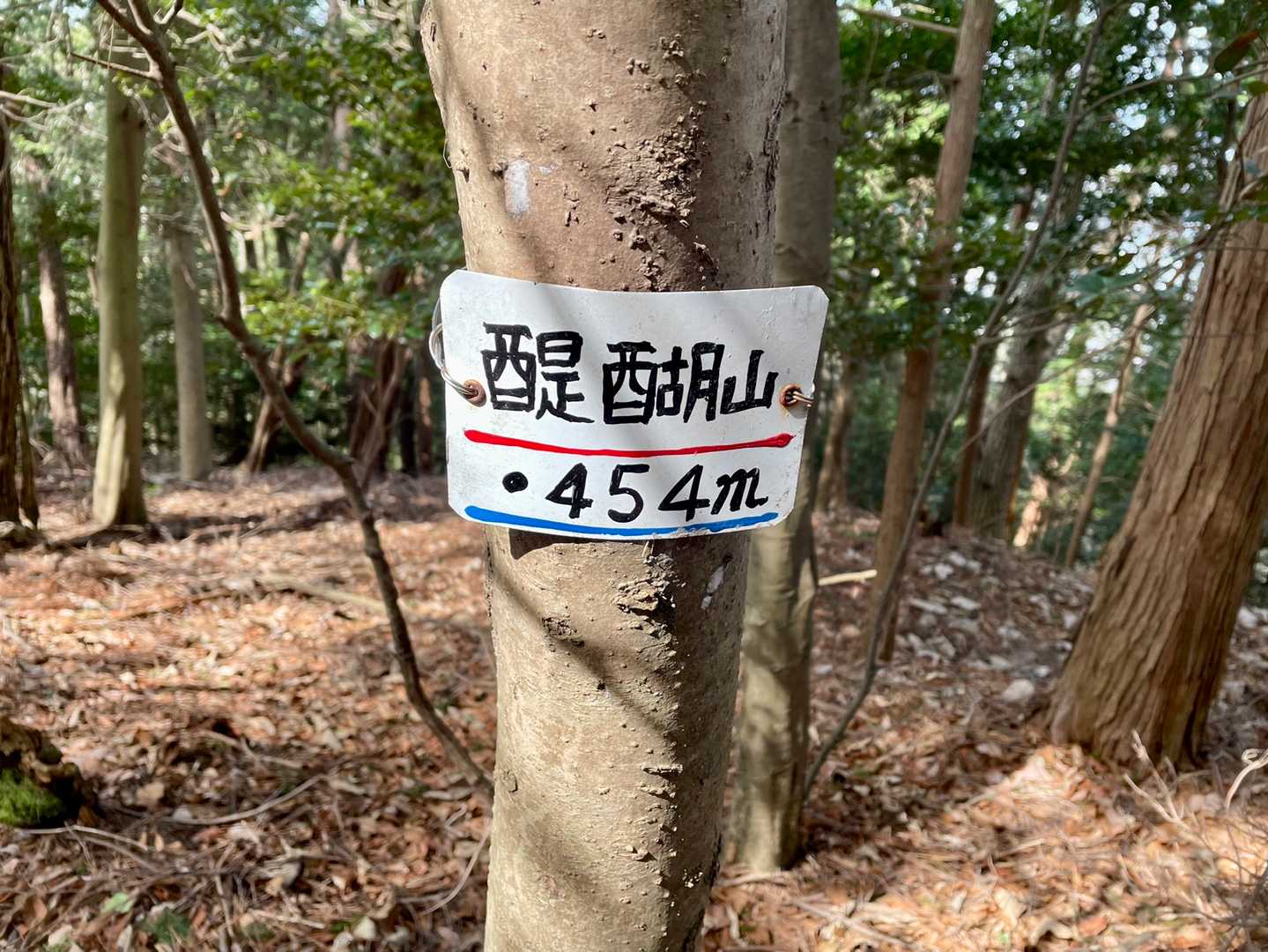 ウイッシュ🤣