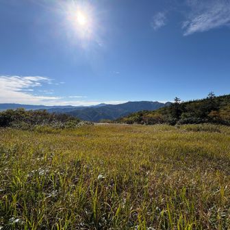 陽の水(巻倉山緊急野営場)。
※テント泊の場合、此処か中ノ岳避難小屋に展張する事になる。