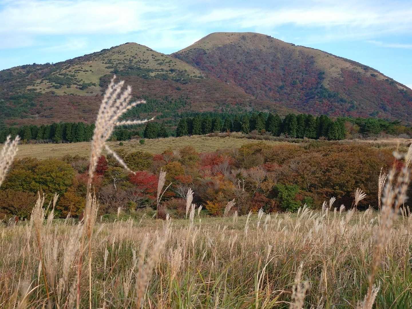 🌾🌾🌾🍁🍁🍁🌾🌾🌾
藪ってるから濡れま〜す🤣🤣🤣