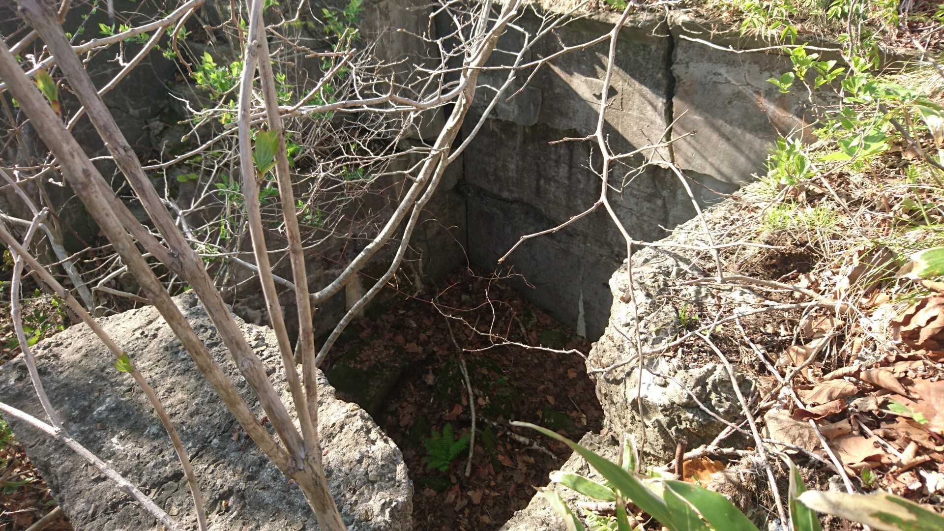 つつじ山の写真