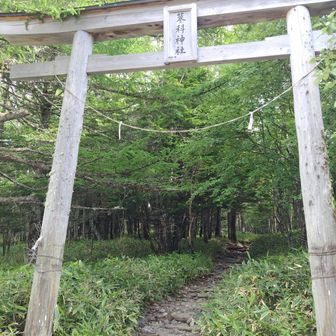 ただいまー