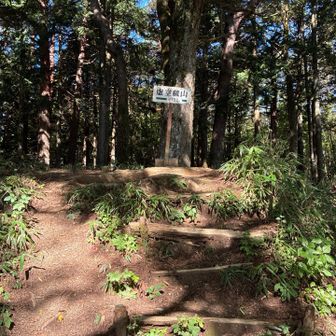 山頂。ここから先(風越山)に行く人の方が多かったように思う