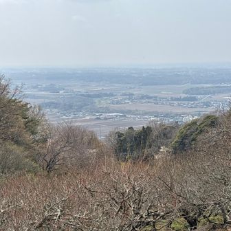 梅林の高台からの眺望。霞んでいるなりにいい感じです。梅が咲いていたらきっとかなりの眺望っぽいです。