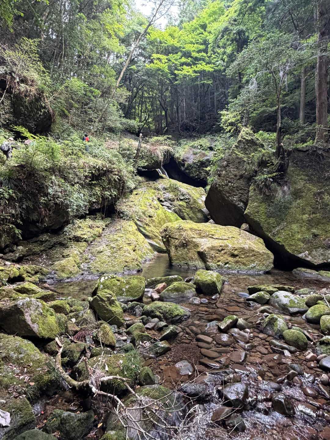百間山 周回コースの写真