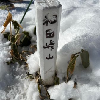 和田山北峰の三角点の案内
本体は？