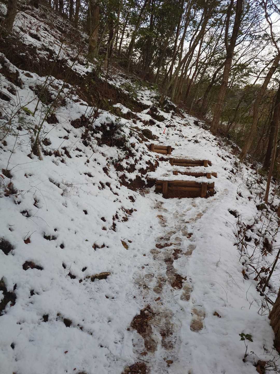 養老山地トレイルが思い起こされます