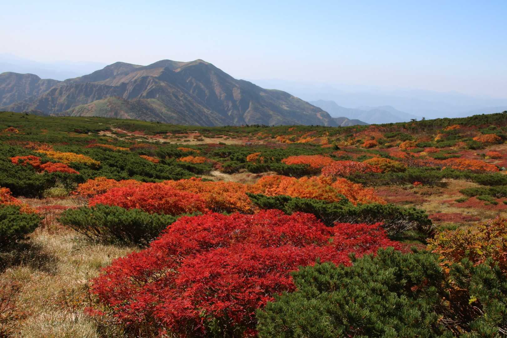 平瀬道登山口-室堂センター-白山 往復コースの写真