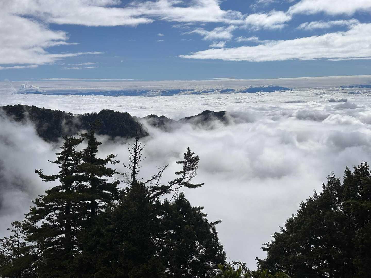 七倉岳 往復コースの写真