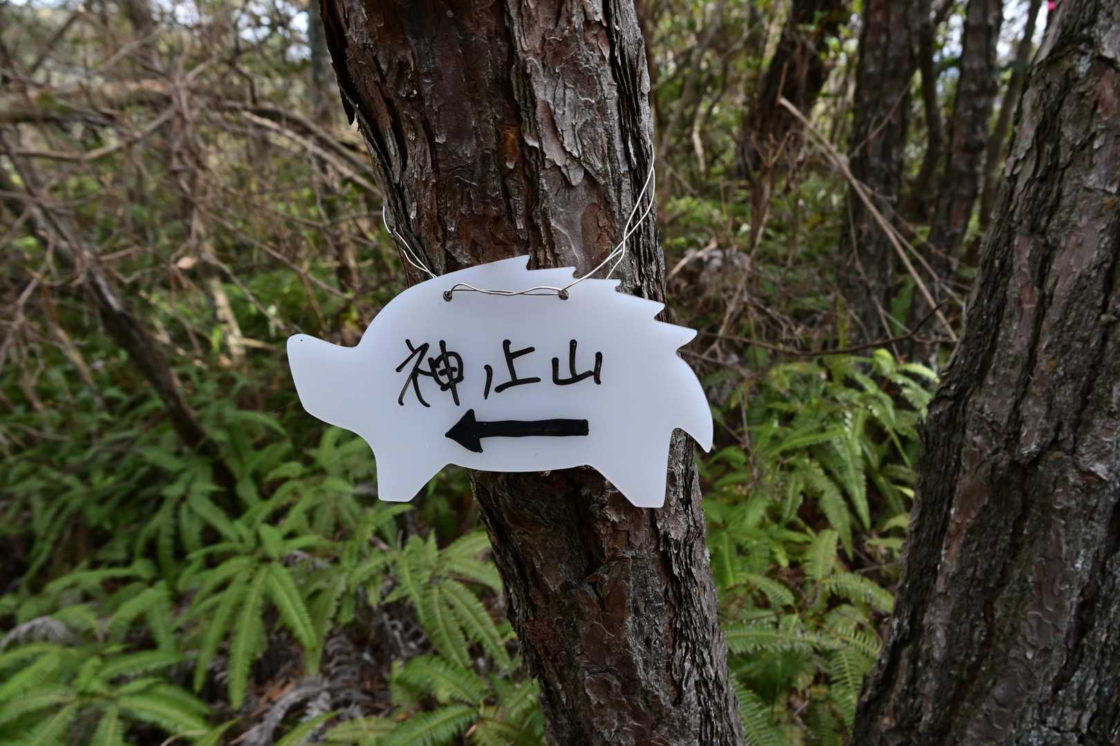 和気富士-観音山-竜王山-神ノ上山 縦走コースの写真