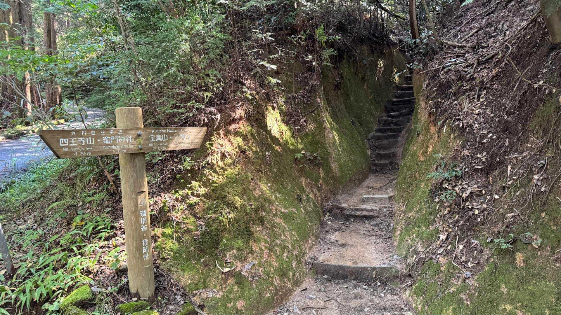 宝満山 | 正面道の賑わいとうさぎ道の静けさを繋ぐ周回コースの写真