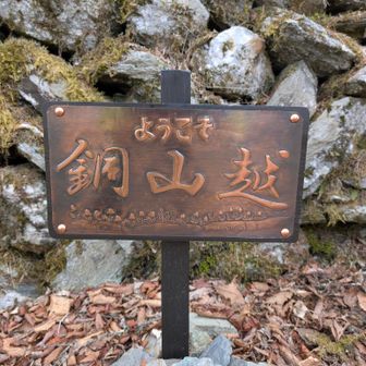 ２つ目
銅山越
アカモノとツガザクラ