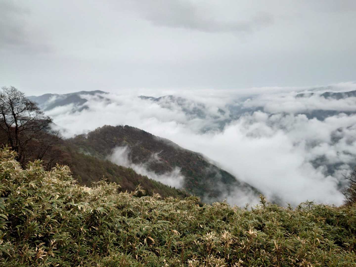 三室山登山口-三室山 往復コースの写真