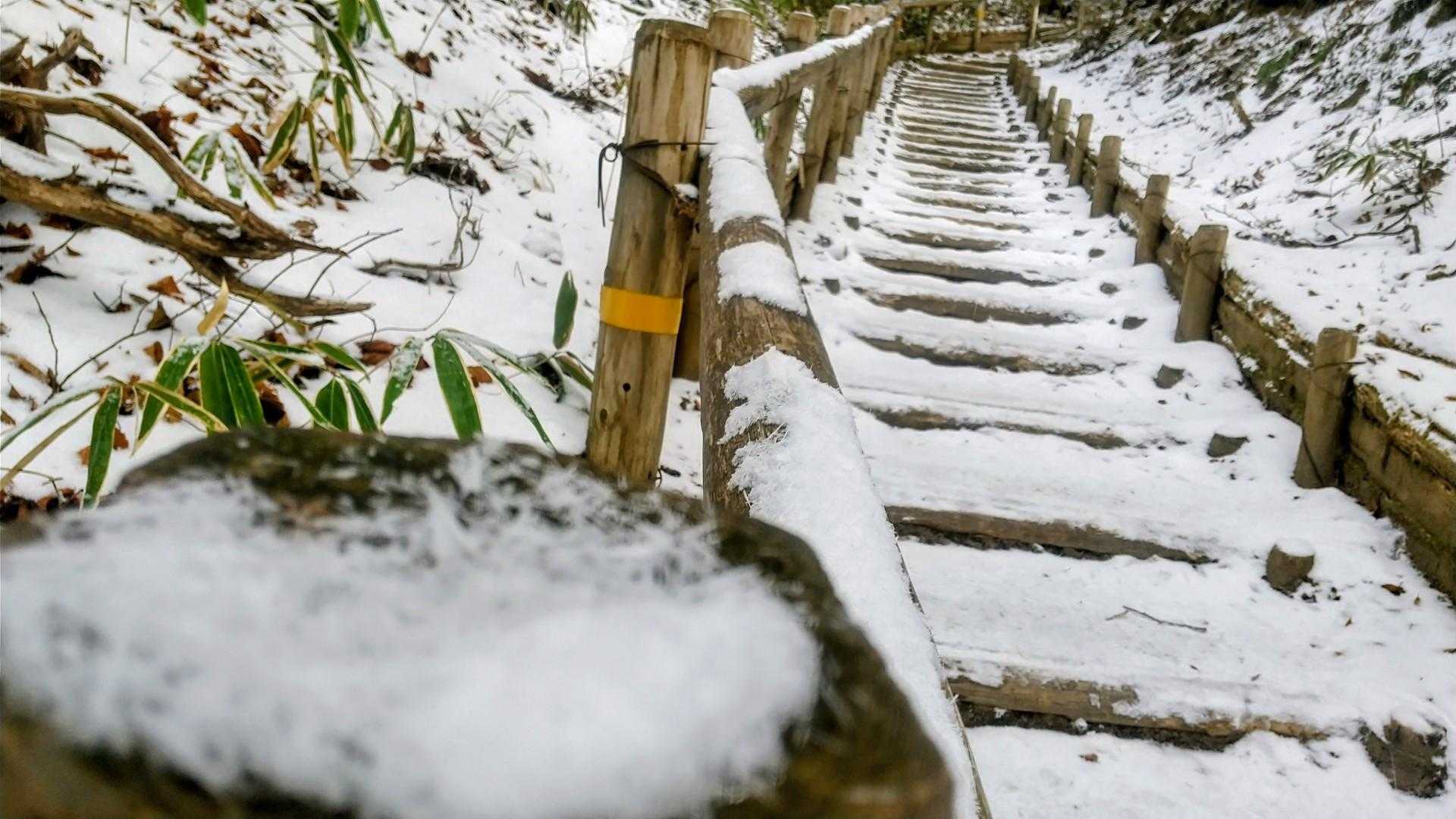まだある
段だん・だん・だーん🤣