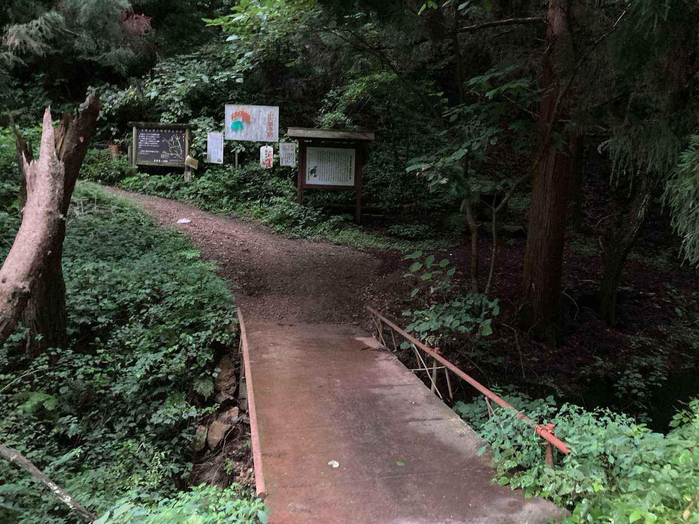 表参道口から裏参道経由で、山頂手前の近道分岐まで、ジョギング。林道部はペースを維持するように努力。　次第に遅くなってくるけれど、、、