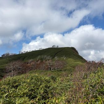 登り着ると爽やかな景色が見れます。