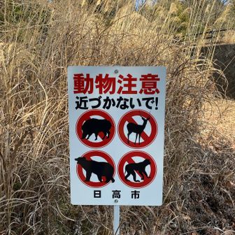 高指山のところの看板。熊の絵もあり