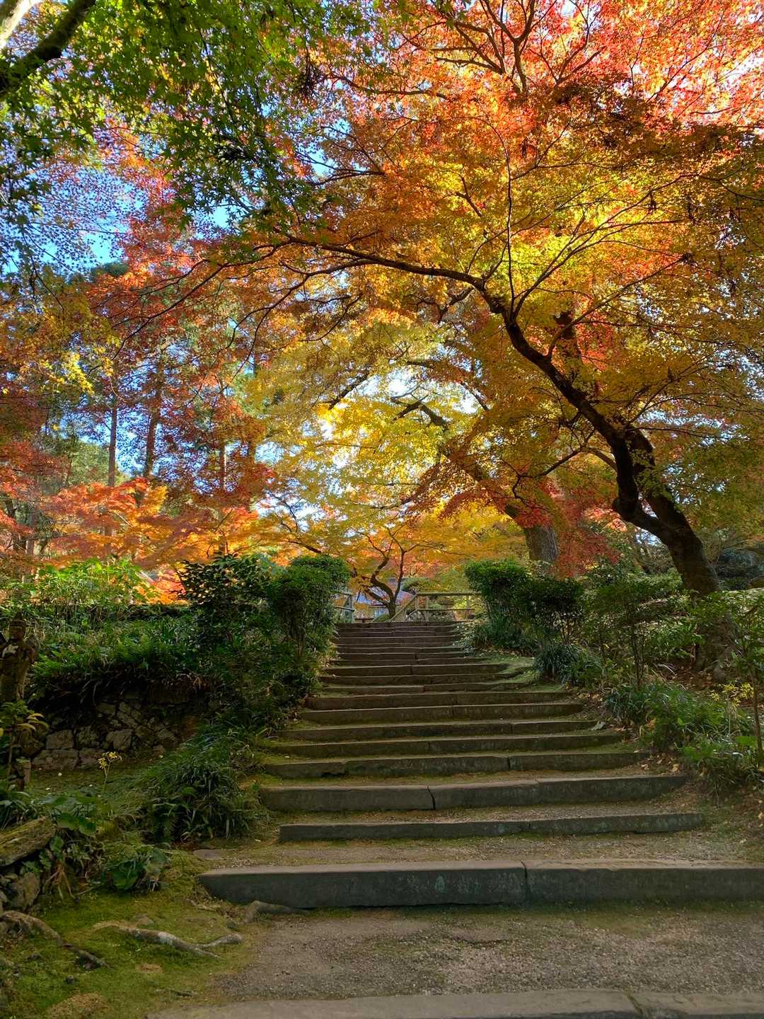 清水山 往復コースの写真