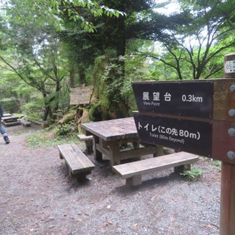 疲れたけど、せっかくなので展望台にも行ってみる🚶