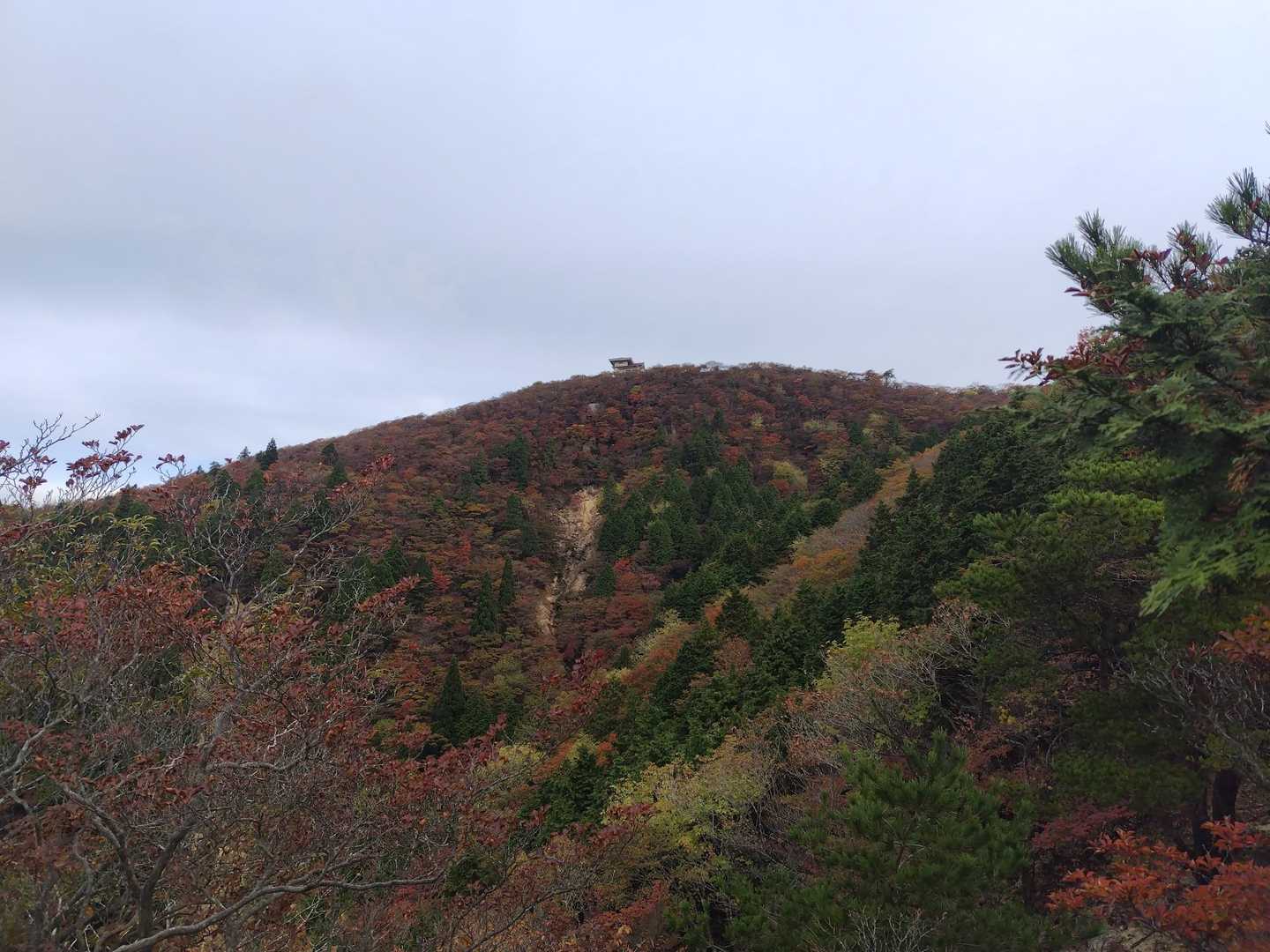 紅葉🍁終盤ですね