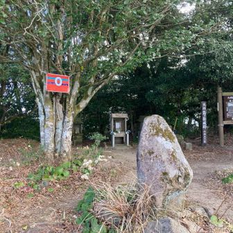 どこかのピーク