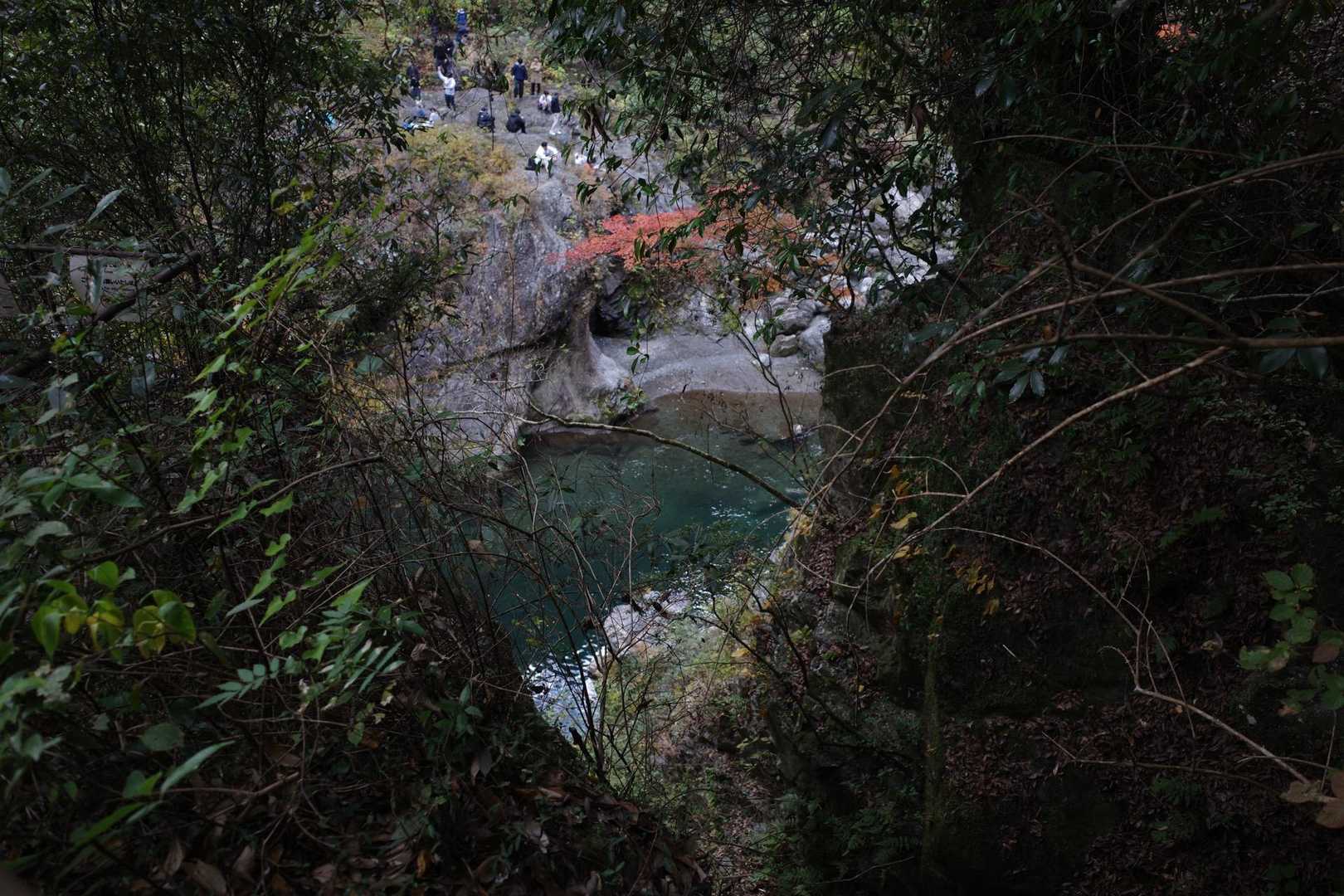 鳩ノ巣駅-大根ノ山ノ神-瘤高山-本仁田山 周回コースの写真