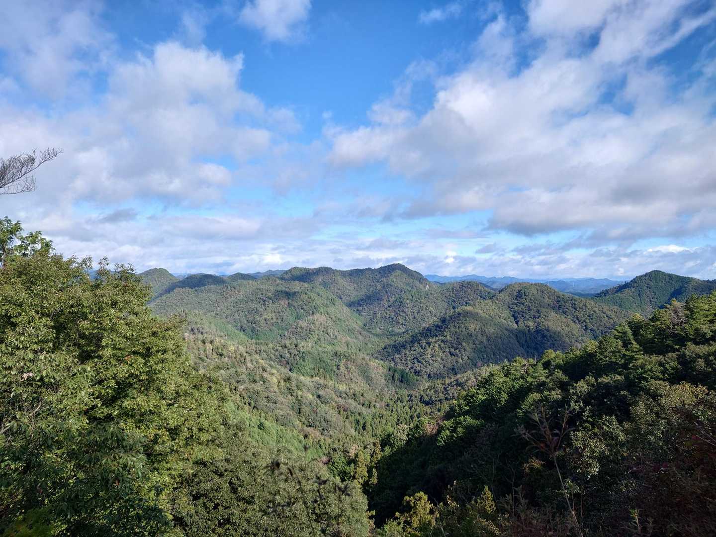 高沢山-大仏山-本城山 周回コースの写真