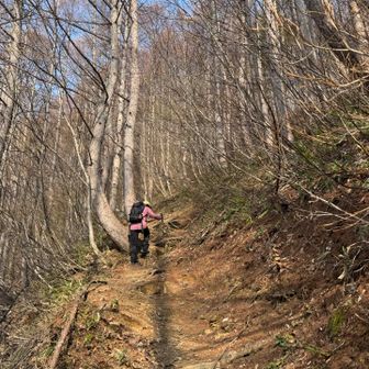 登りも下りも1番の核心部はこのあたり笑
ドロドロ？土の急登
