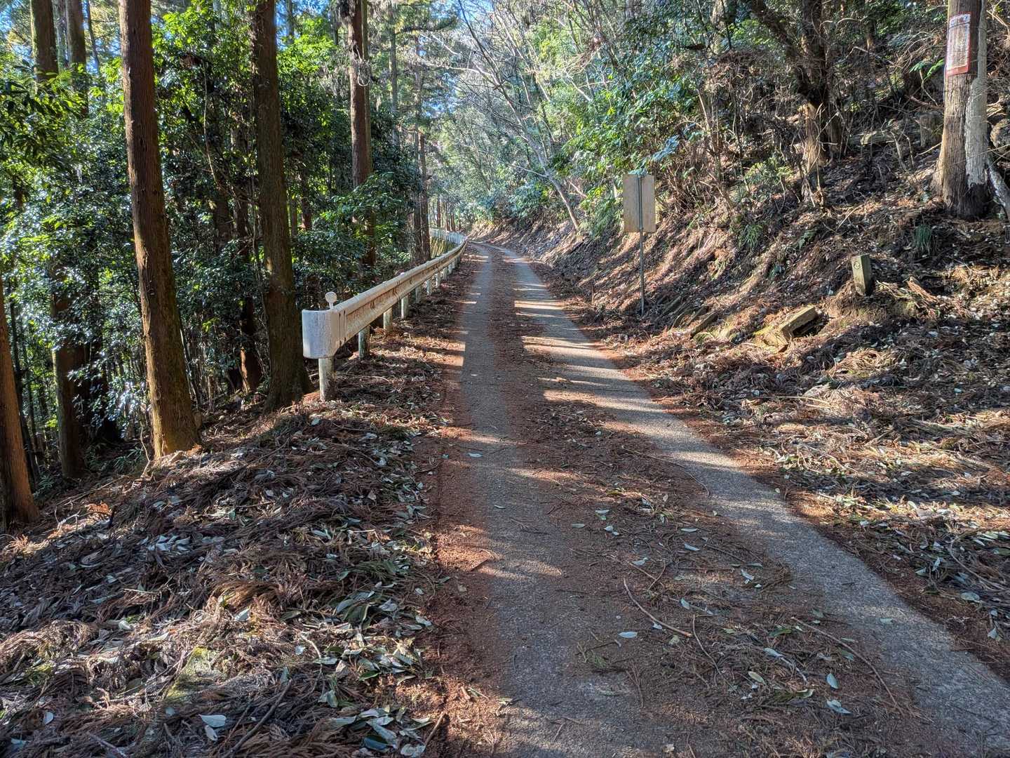 小田急　新松田駅-尺里峠-高松山-ビリ堂-山北駅 縦走コースの写真