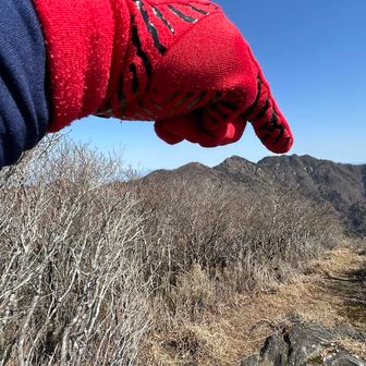 👇東赤石山🏔️どれにしようかな❓